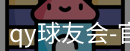 qy球友会